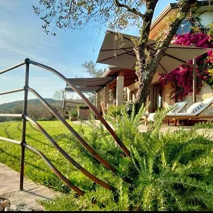 A Casa Di Olivo Castelnuovo Magra